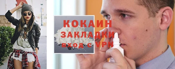 ПСИЛОЦИБИНОВЫЕ ГРИБЫ Гусь-Хрустальный