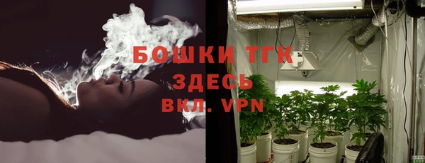 спиды Аркадак