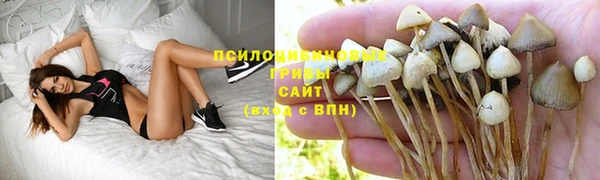 спиды Аркадак